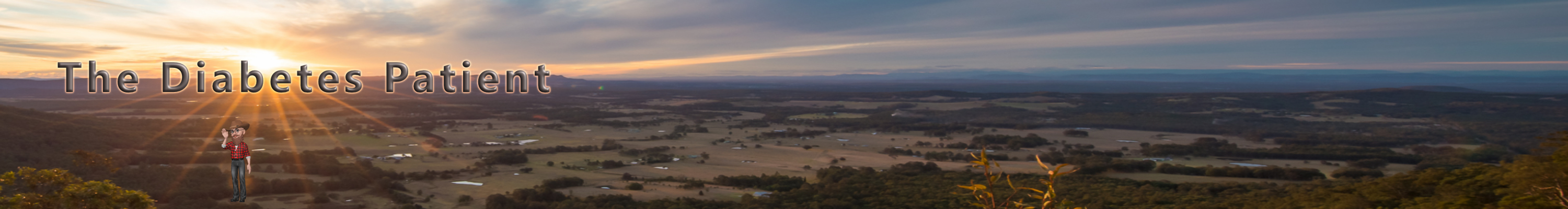 Website Banner